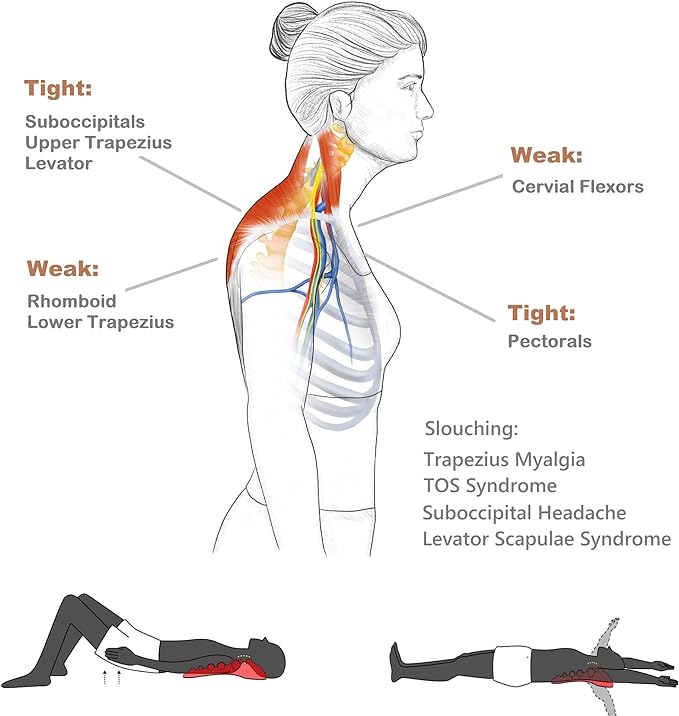 Trapezius Trigger Point Massager