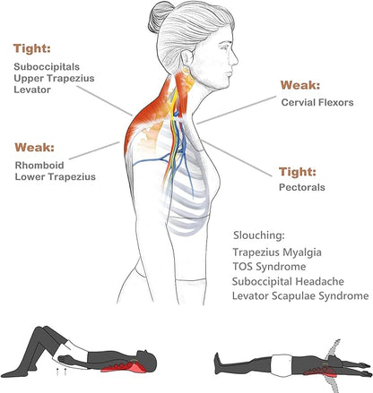 Trapezius Trigger Point Massager